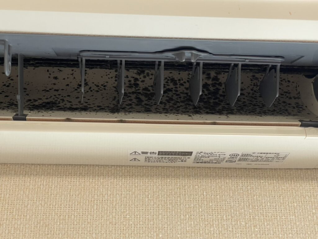 昭和区石飛様邸のエアコンクリーニング。内部の汚れ