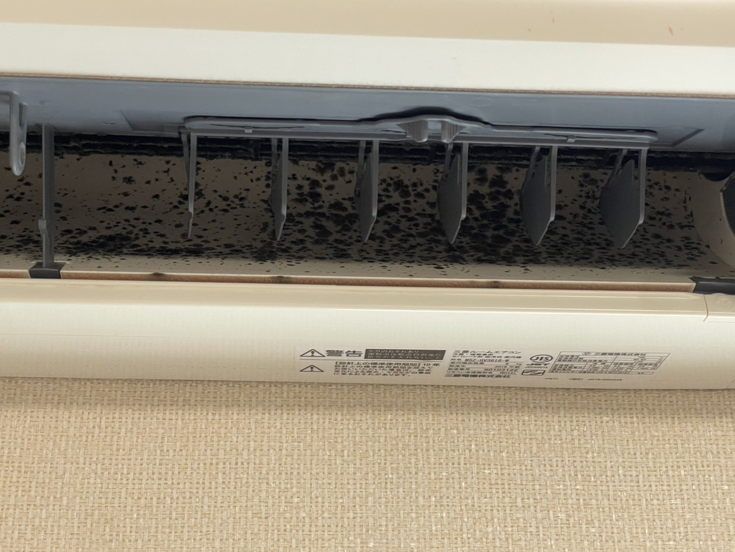 名古屋市昭和区石飛様邸のエアコンクリーニング。内部の汚れ